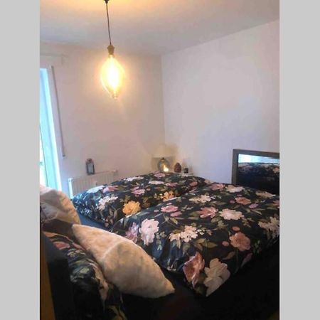 Sonnenoase Gufi Apartment Gundelfingen  Luaran gambar